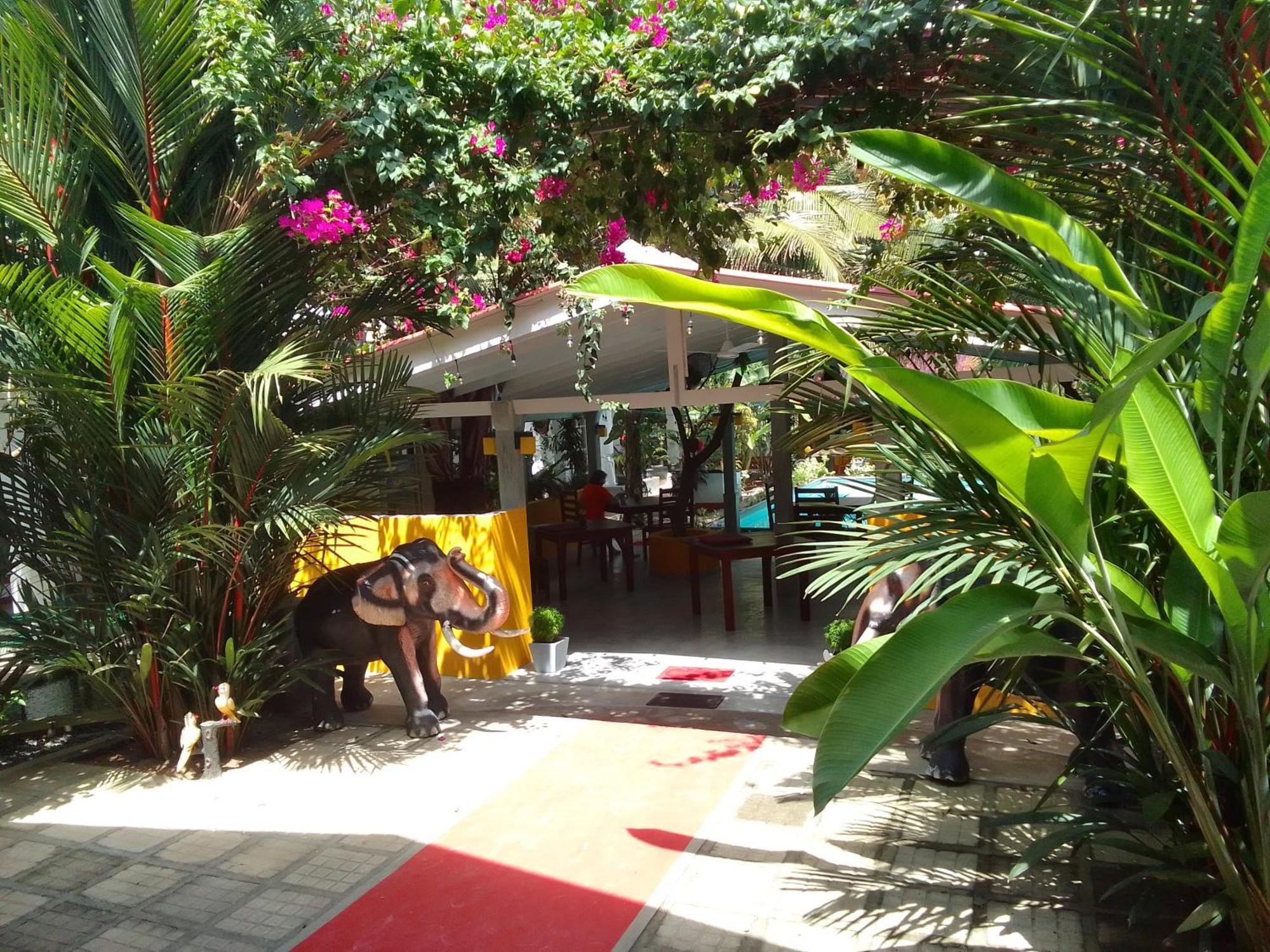 La Perla Bentota Hotel Exterior foto