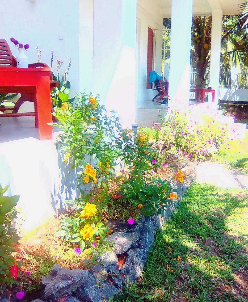 La Perla Bentota Hotel Exterior foto